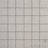 Мозаїка 30x30 Apavisa Terratec Mosaico 5x5 G-1732 Grey Natural (сіра, матова)