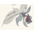 Плитка Kwadro Ceramika Milek Bianco Inserto Kwiat A (кахель з квітами)