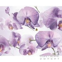 Плитка настенная Halcon Colours декор Orquidea Berenjena глянцевый 20х50