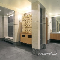 Плитка для підлоги 30x60 Apavisa Limestone G-1258 Millenium Gris Natural (сіра, матова)