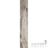 Плитка для підлоги керамограніт Emil Ceramica PETRIFIED TREE GREY BARK 914D8R