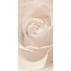 Плитка керамічна Opoczno EFFECTA беж декор 29,7X60 (троянда)