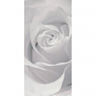 Плитка керамическая Opoczno EFFECTA сірий декор 29,7X60 (роза)