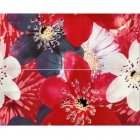 Керамічна плитка Opoczno FRENCH LAKE червоний декор квіти 40X50