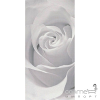 Плитка керамічна Opoczno EFFECTA сірий декор 29,7X60 (троянда)