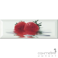 Плитка керамическая декор Monopole Ceramica FRESH Decor Fresa 10x30 (ягоды)