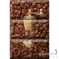 Керамічна плитка декор Absolut Keramika Coffe Beans Composition 01 30x20
