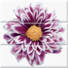 Настінна плитка декор Absolut Aure Composicion Flower