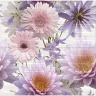 Плитка керамическая декор OPOCZNO CHINESE ASTERS цветы