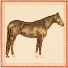 Плитка керамическая декор APE FAYETTE DEC PEGASO ARENA (лошадь)
