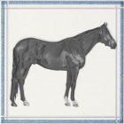 Плитка керамічна декор APE FAYETTE DEC PEGASO BLANCO (кінь)
