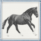 Плитка керамическая декор APE FAYETTE DEC BABIECA BLANCO (лошадь)