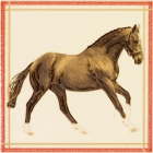 Плитка керамическая декор APE FAYETTE DEC BABIECA MARFIL (лошадь)