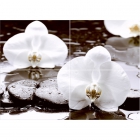 Плитка декор  панно Береза керамика Капри Орхидея х4 (50x70)
