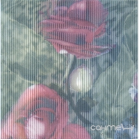 Плитка настінна декор Kerama Marazzi Весняне шоу Троянди NTA955155