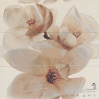 Плитка Myr Ceramica Niza Beige Decor D-806 3PZ (цветы)