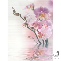 Плитка NOVOGRES Dec Energy Caprmalva (с орхидеями) (кафель с цветами)