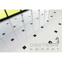 Плитка керамічна для підлоги Pilch Black&White Black 1A 60x60