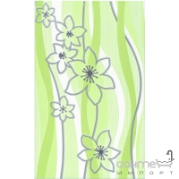 Плитка Ceramika Color Samba zielona dekor (цветы) 25x40