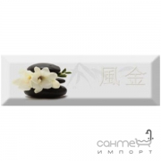 Плитка керамічна декор ABSOLUT KERAMIKA Serie Japan Tea 04 B