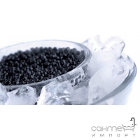 Плитка керамическая декор ABSOLUT KERAMIKA Black Caviar Decor 02 (с чёрной икрой)