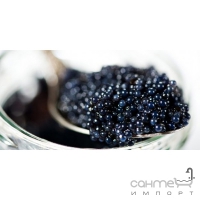 Плитка керамическая декор ABSOLUT KERAMIKA Black Caviar Decor 03 (чёрная икра)