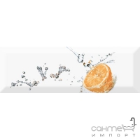 Плитка керамічна декор ABSOLUT KERAMIKA Fresh Orange