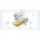 Плитка керамическая декор MONOPOLE Aqua Lemon 10x20 (лимон)