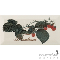 Плитка керамічна декор MONOPOLE Provence Framboise 10x20