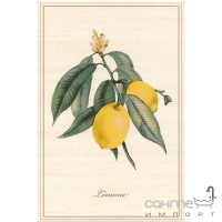 Плитка Kerama Marazzi A22108164 Декор Ботаника Лимон