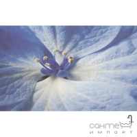 Плитка Paradyz Acapulco Blue Inserto Kwiat (кахель з квітами)